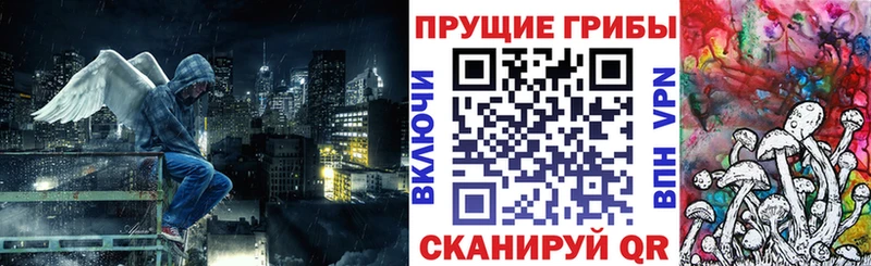 Галлюциногенные грибы Psilocybine cubensis Кунгур